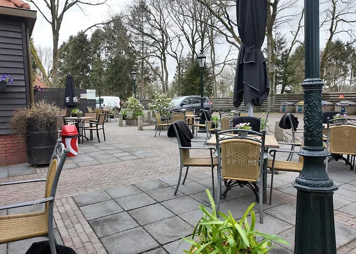 Chalet Kokomo - Gelegen In Bosrijkgebied Van Drenthe