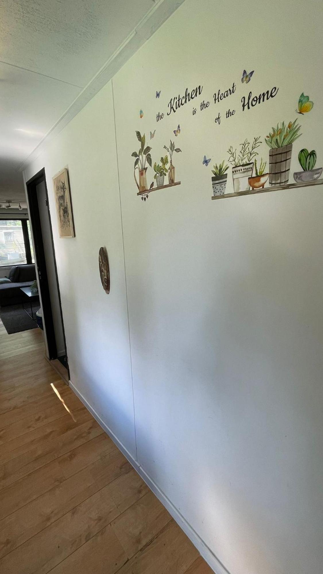 Kokomo - Gelegen In Bosrijkgebied Drenthe Eext
