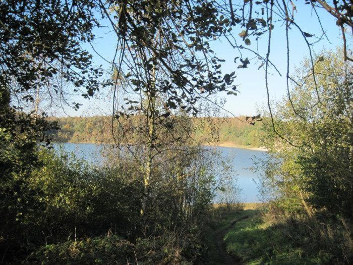 Campsite Kokomo - Gelegen In Bosrijkgebied Drenthe *